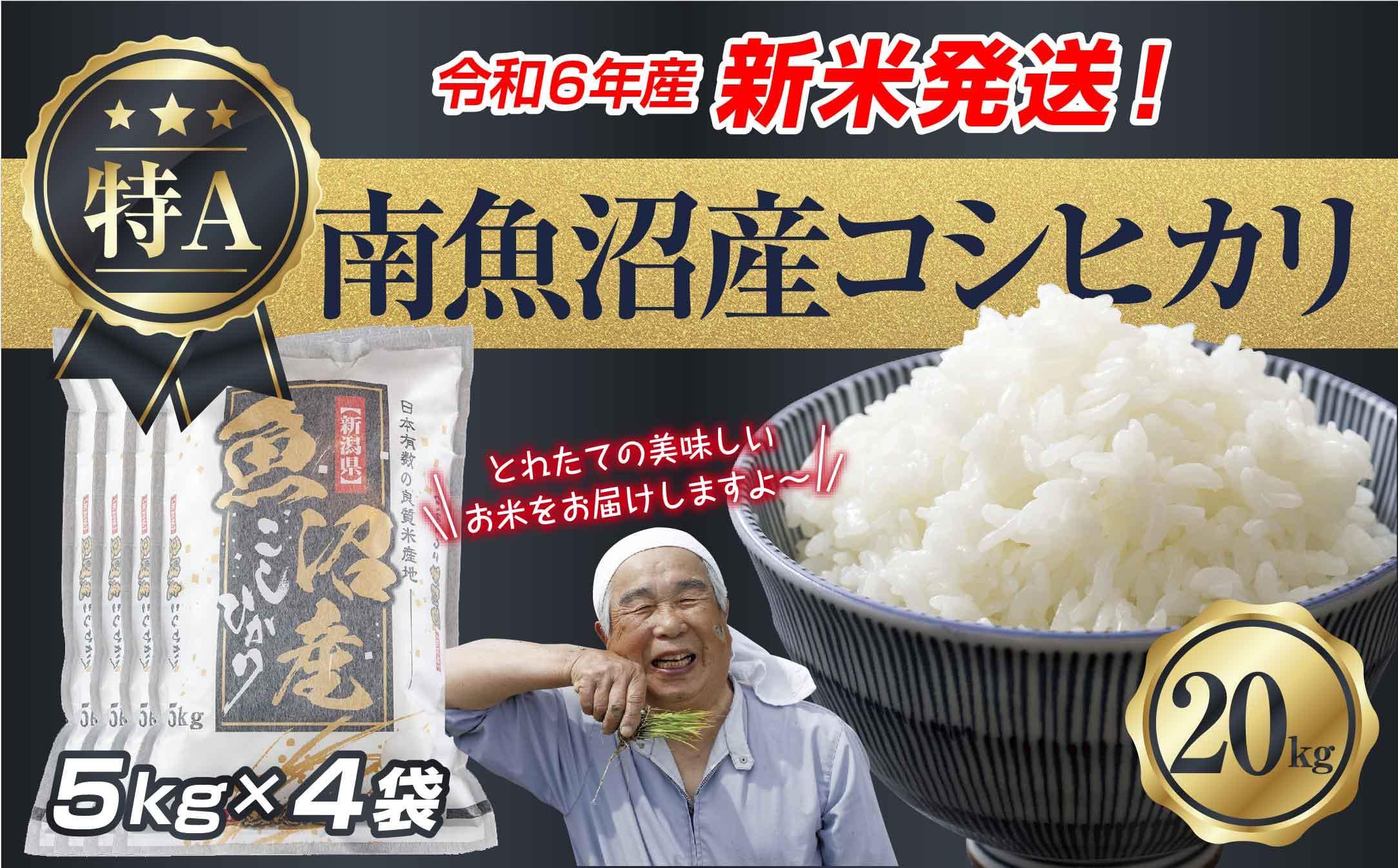 令和6年 新米 千葉県産コシヒカリ 玄米20キロ 農家直送 減農薬