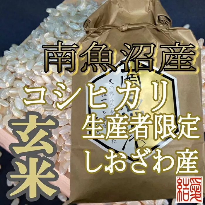 【令和7年産】【定期便】玄米 南魚沼しおざわ産コシヒカリ4Kg×3ヶ月【2025年10月上旬より順次発送予定】