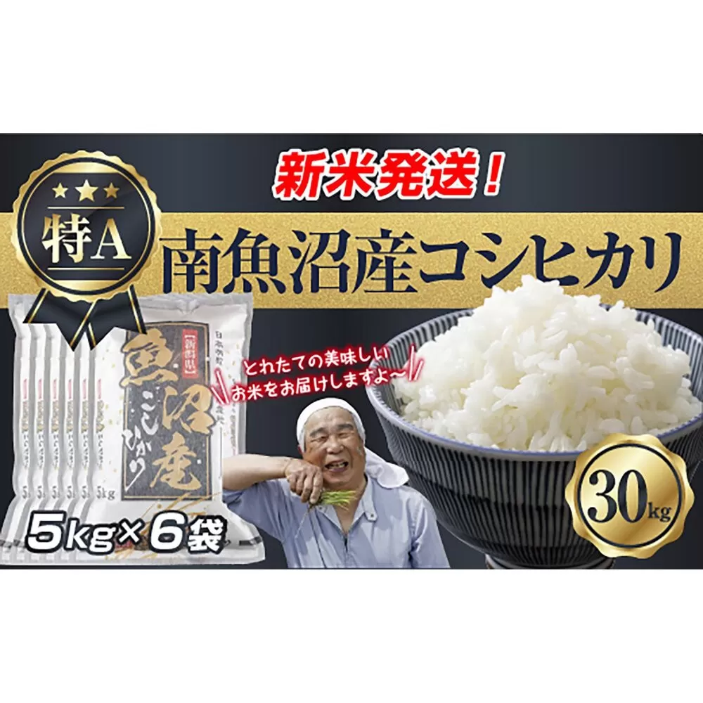 令和7年産 新潟県 南魚沼産 コシヒカリ お米 5kg×6袋 計 30kg 精米済み（お米の美味しい炊き方ガイド付き） お米 こめ 白米 こしひかり 食品 人気 おすすめ  魚沼 南魚沼 南魚沼市 新潟県産 新潟県 精米 産直 産地直送