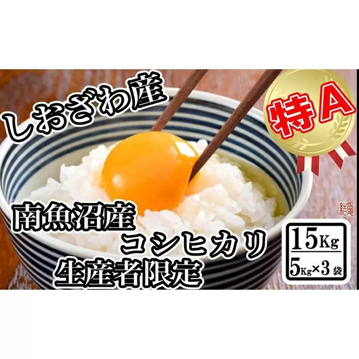 【令和7年産】【生産者限定 契約栽培】南魚沼しおざわ産コシヒカリ15kg（５kg×3袋）【2025年10月上旬より順次発送予定】