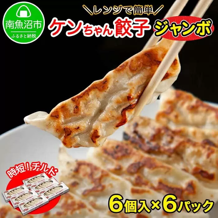 ES148 新潟県 南魚沼市 チルドジャンボ餃子 6個入り × 6パック 計36個 ケンちゃん餃子 冷蔵 中華 点心 惣菜 ビール お取り寄せ グルメ