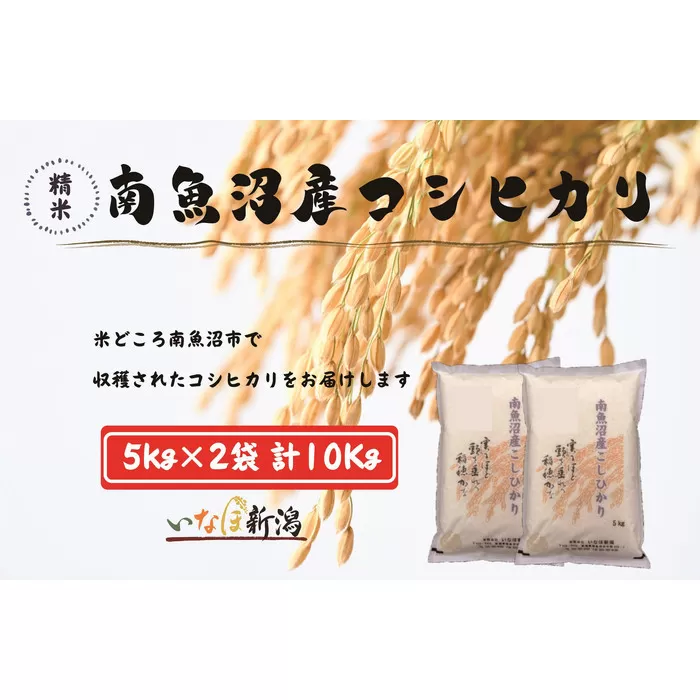 【令和7年度産新米予約】南魚沼産コシヒカリ 白米 10kg【2025年10月上旬より順次発送予定】