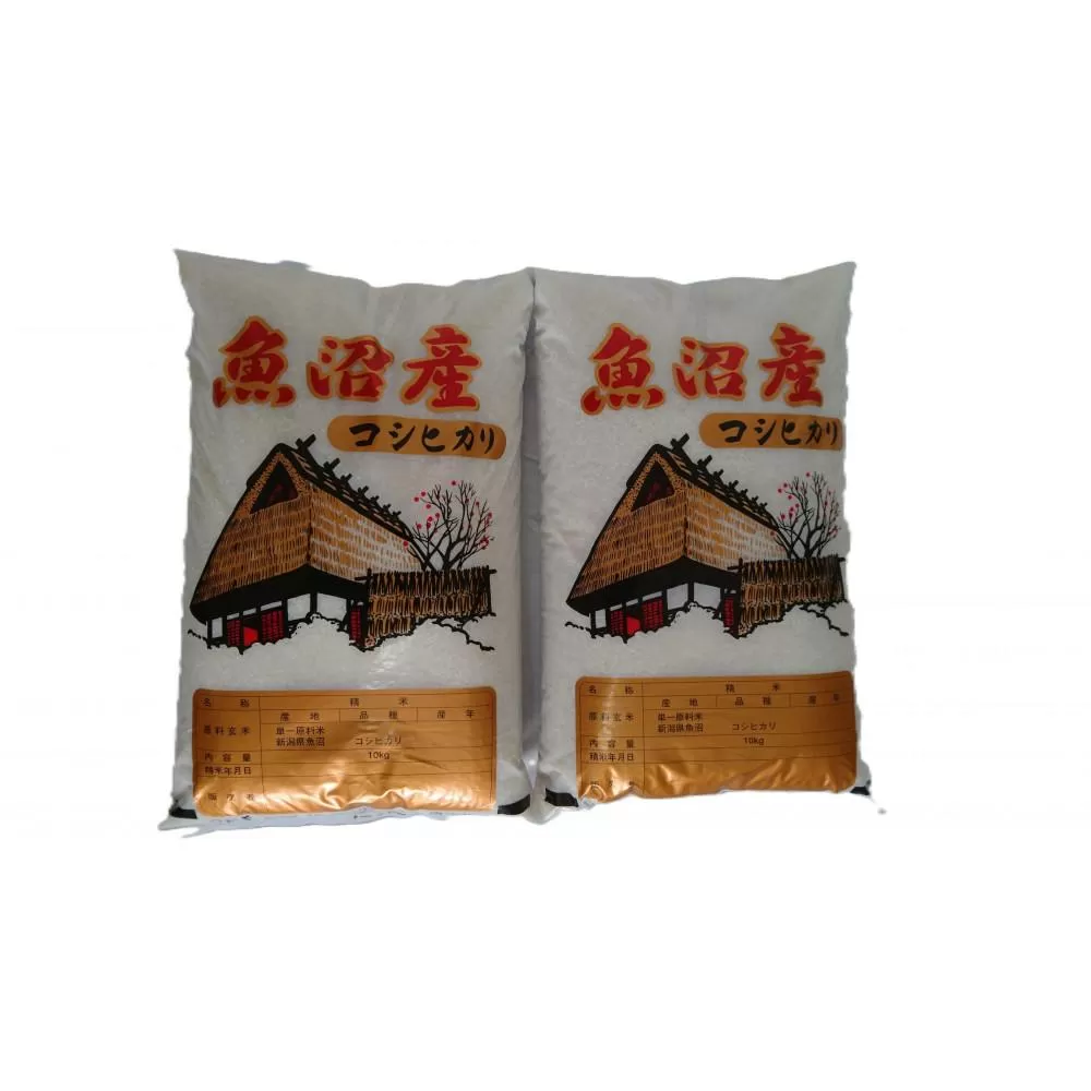 【令和7年新米】魚沼産しおざわコシヒカリ白米２０ｋｇ