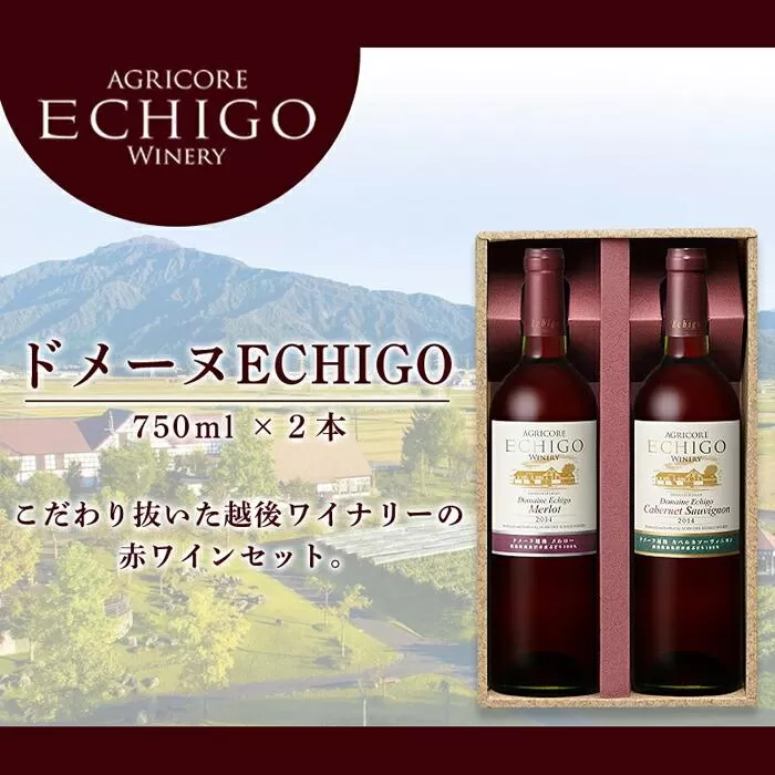 ドメーヌECHIGO　赤ワイン２本セット【カーボン・オフセット対象】