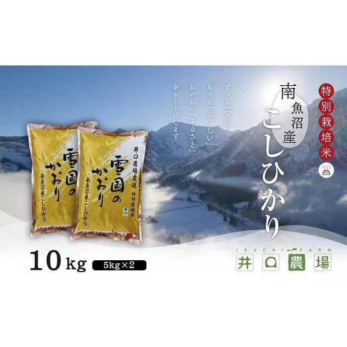 【令和７年産 新米】南魚沼産コシヒカリ10kg 井口農場こだわりの 特別栽培米
