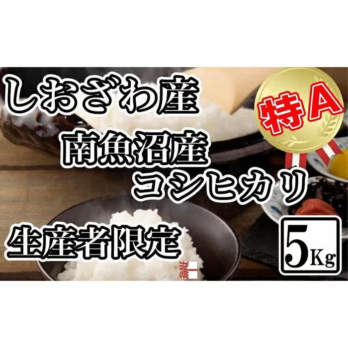 【令和7年産】生産者限定 契約栽培 南魚沼しおざわ産コシヒカリ5Kg【2025年10月上旬より順次発送予定】