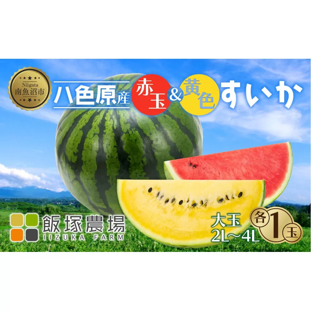 【先行受付】 八色原産 赤玉＆黄色 すいか セット 2～4L 計2玉 スイカ 大玉 金色羅王 西瓜 果物 フルーツ 旬 希少 貴重 甘い 国産 産地直送 食べ比べ お取り寄せ 送料無料 飯塚農場 新潟県 南魚沼市