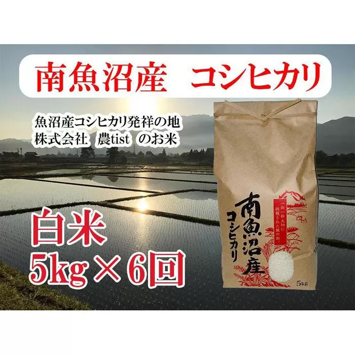 【令和7年産】【定期便 南魚沼産】コシヒカリ 白米5kg×6回【2025年9月中旬より順次発送予定】