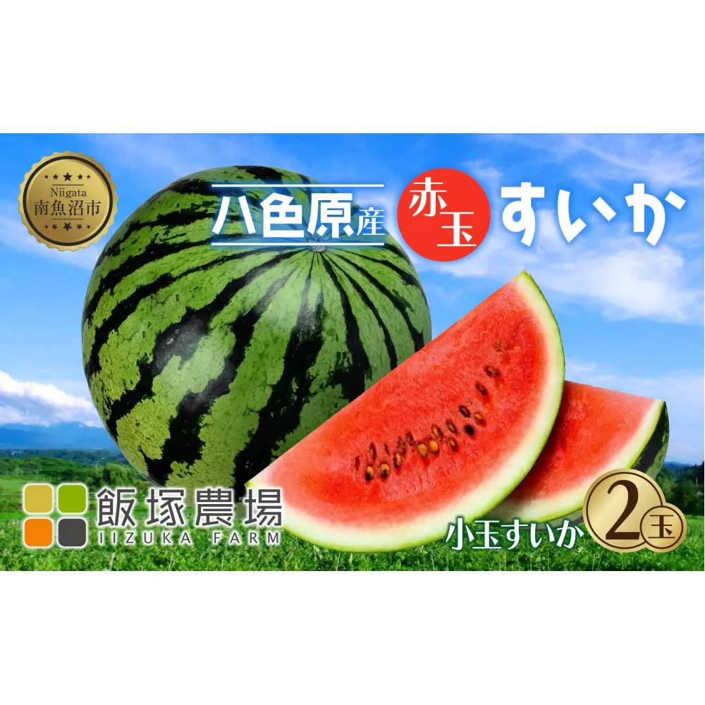 【先行受付】 八色原産 赤玉すいか 小玉 2玉 スイカ 赤肉 西瓜 果物 フルーツ 旬 希少 貴重 甘い 国産 産地直送 ギフト 贈答 自家用 常温 お取り寄せ 送料無料 飯塚農場 新潟県 南魚沼市