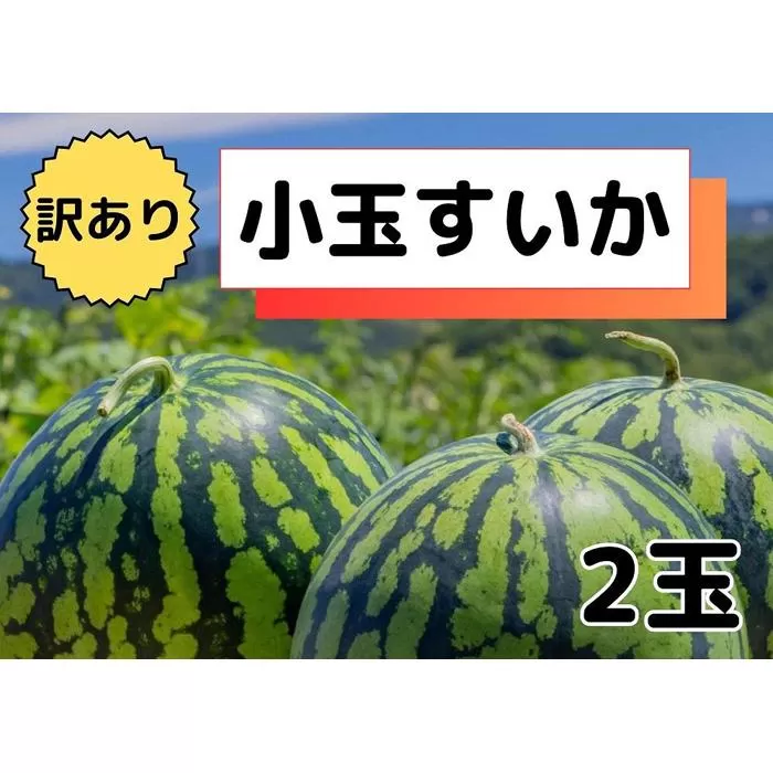 先行予約【わけあり品】八色原すいか小玉２玉【2026年7月中旬発送】【お届け日時指定不可】