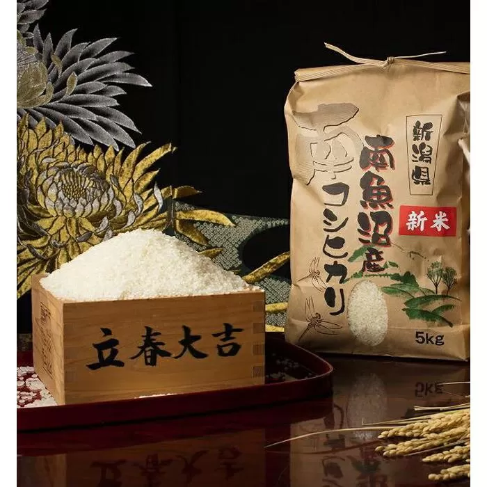 【頒布会】【令和7年産 新米予約】南魚沼塩沢産こしひかり（無洗米5kg×全12回）【令和7年11月上旬より順次発送予定】
