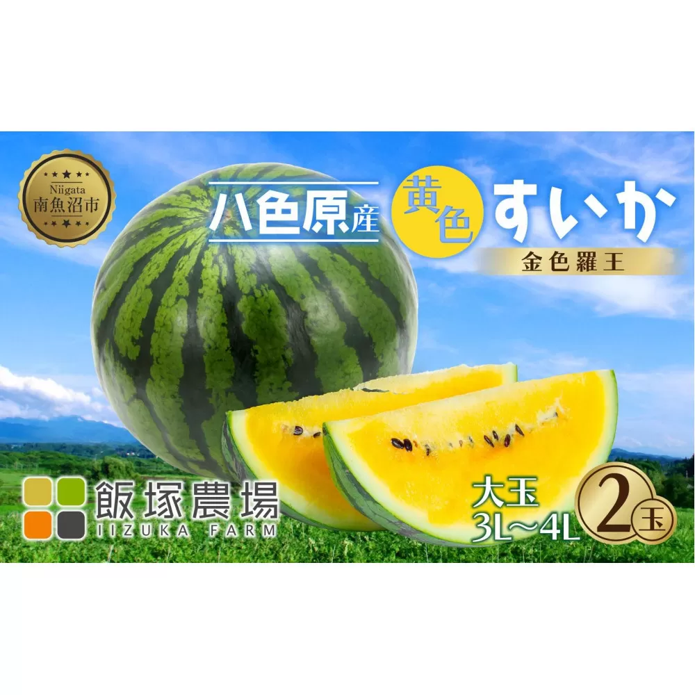 【先行受付】 八色原産 金色羅王 3～4L 2玉 スイカ 大玉 黄色 すいか 西瓜 果物 フルーツ 旬 希少 貴重 甘い 国産 産地直送 ギフト 贈答 自家用 常温 お取り寄せ 送料無料 飯塚農場 新潟県 南魚沼市