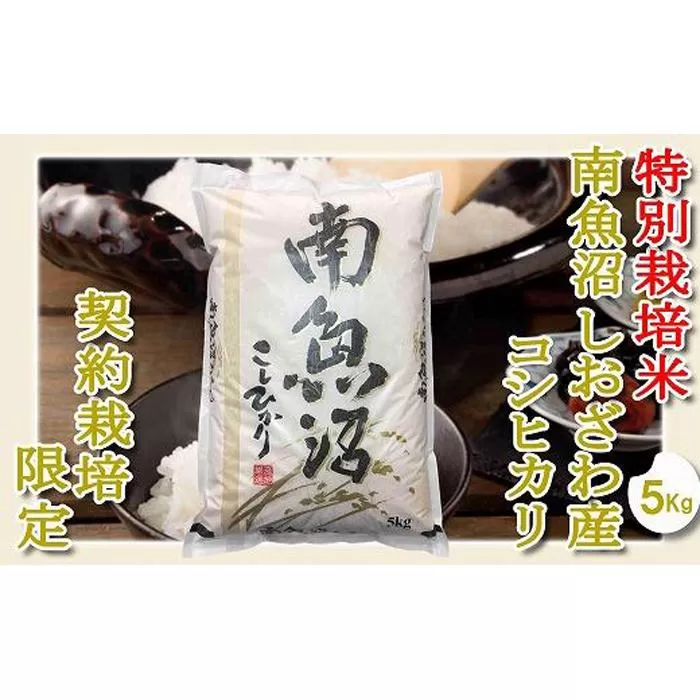 【令和7年産】【精米５Kg】特別栽培 生産者限定  南魚沼しおざわ産コシヒカリ【2025年10月上旬より順次発送予定】