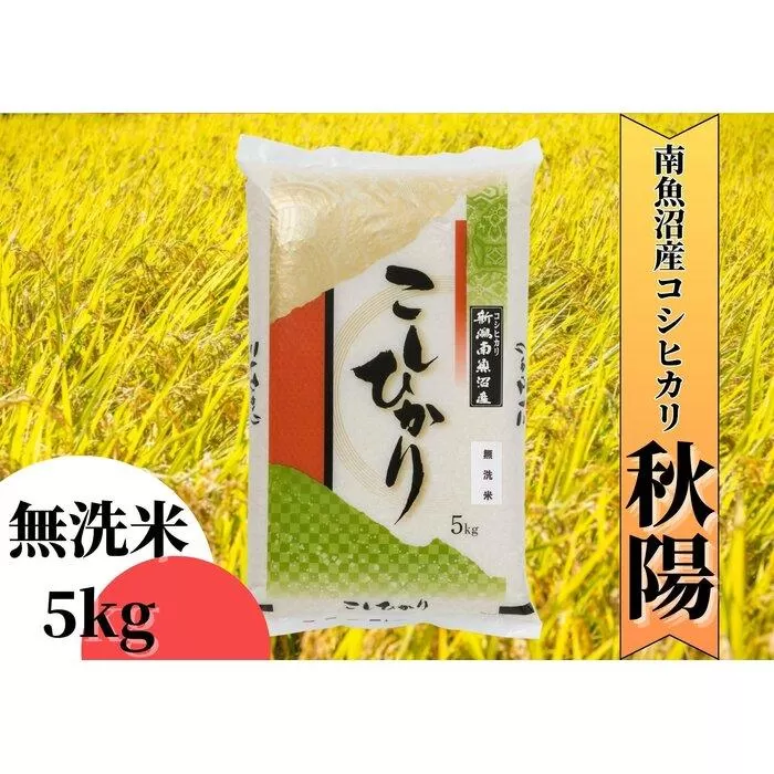 【令和7年産 新米予約】南魚沼産コシヒカリ「秋陽」（無洗米5kg）新潟県の特A地区南魚沼市の美味しいお米【2025年（令和7年）10月上旬より順次発送予定】【米 お米 こしひかり 南魚沼 米 無洗米 こめ 新潟 米】