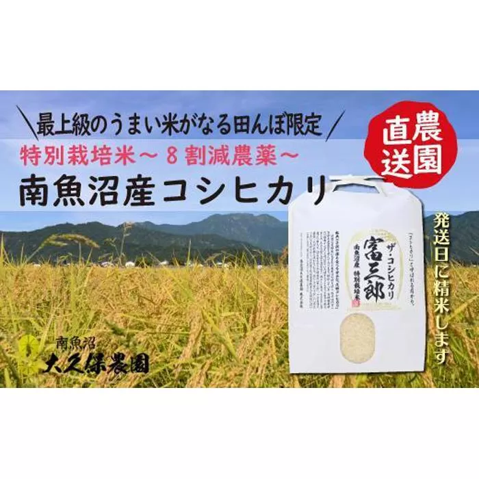 【令和７年産新米予約】【６ヶ月定期便】 南魚沼産コシヒカリ　富三郎　 肥沃な大地と八海山の雪解け水が育んだ厳選米 　無洗米５ｋｇ全６回【2025年10月中旬より順次発送予定】