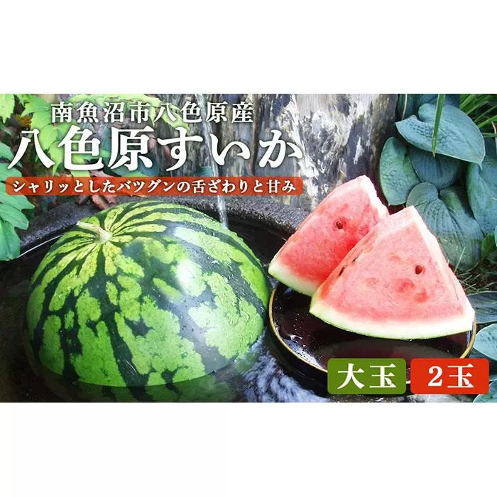 先行予約【高級】八色原すいか大玉２玉