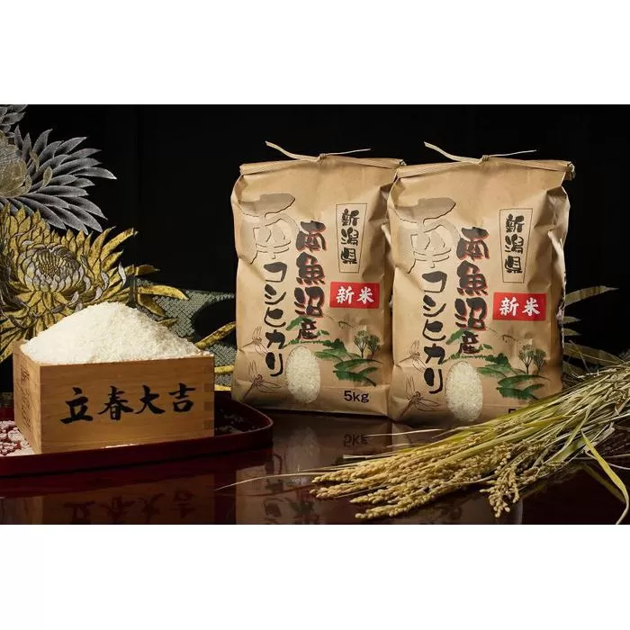 【頒布会】【令和7年産 新米予約】南魚沼塩沢産こしひかり（無洗米10kg×全6回）【令和7年11月上旬より順次発送予定】