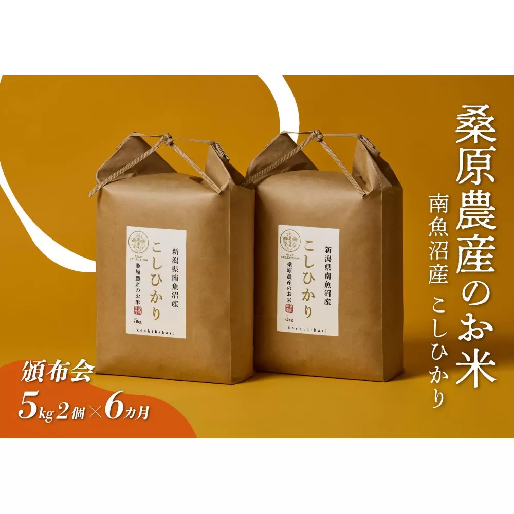 【令和7年度】【頒布会】日本のお米の最高峰　山間地米　南魚沼産コシヒカリ5kg×2　　6カ月