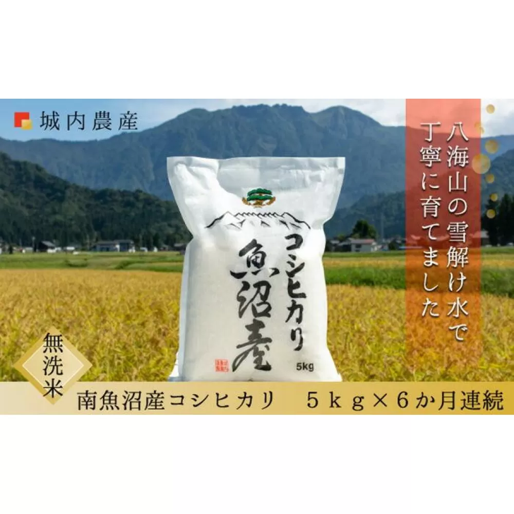 【令和７年産新米予約】【お米定期便/全６回】南魚沼産コシヒカリ　無洗米５ｋｇ＜５割減農薬栽培米＞城内農産【2025年10月上旬より順次発送予定】