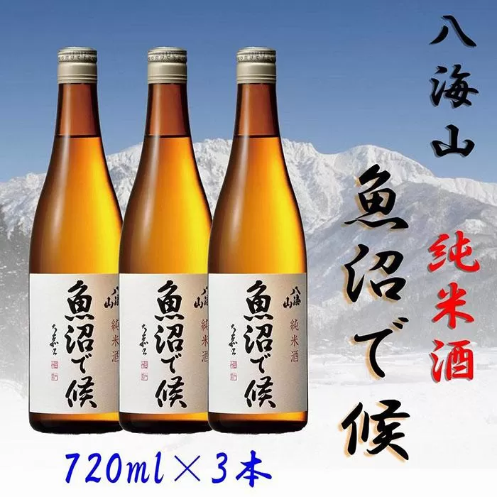 【魚沼地域限定】純米酒 八海山「魚沼で候」720ml×3本