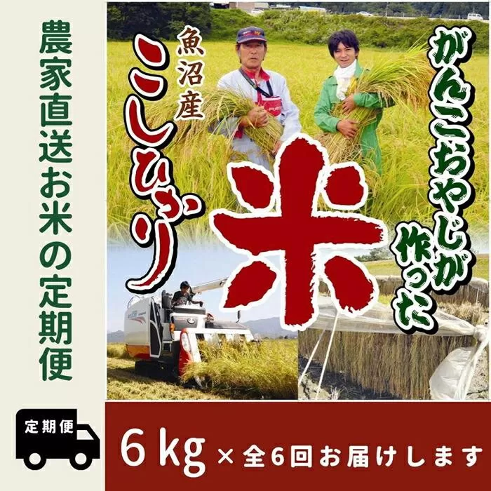 【令和７年産新米予約】6か月定期便　がんこおやじが作った南魚沼産コシヒカリ白米６kg（３kg×２袋）【2025年10月20日頃より順次発送予定】