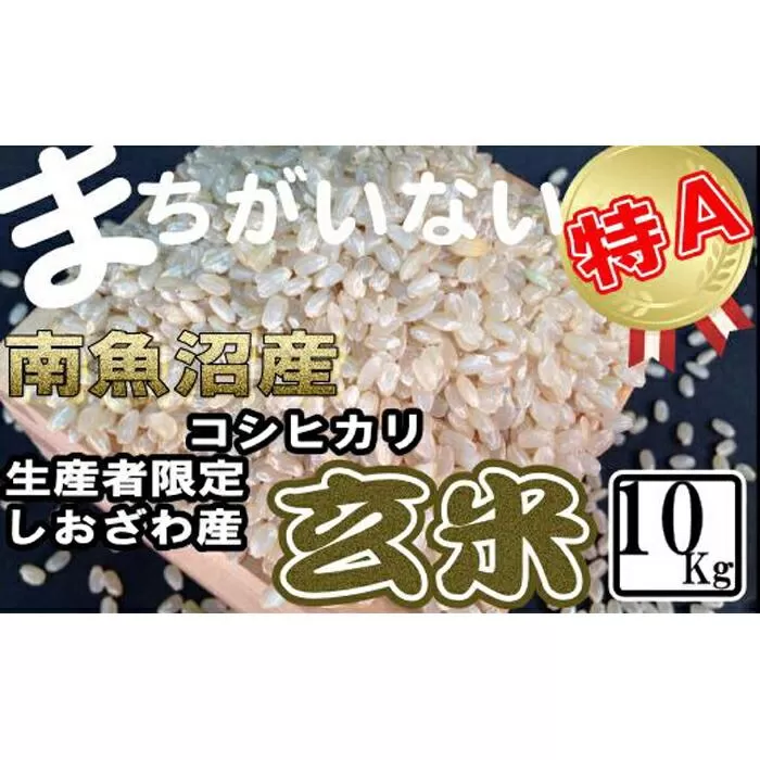 【令和7年産】玄米 生産者限定 南魚沼しおざわ産コシヒカリ10Kg【2025年10月上旬より順次発送予定】