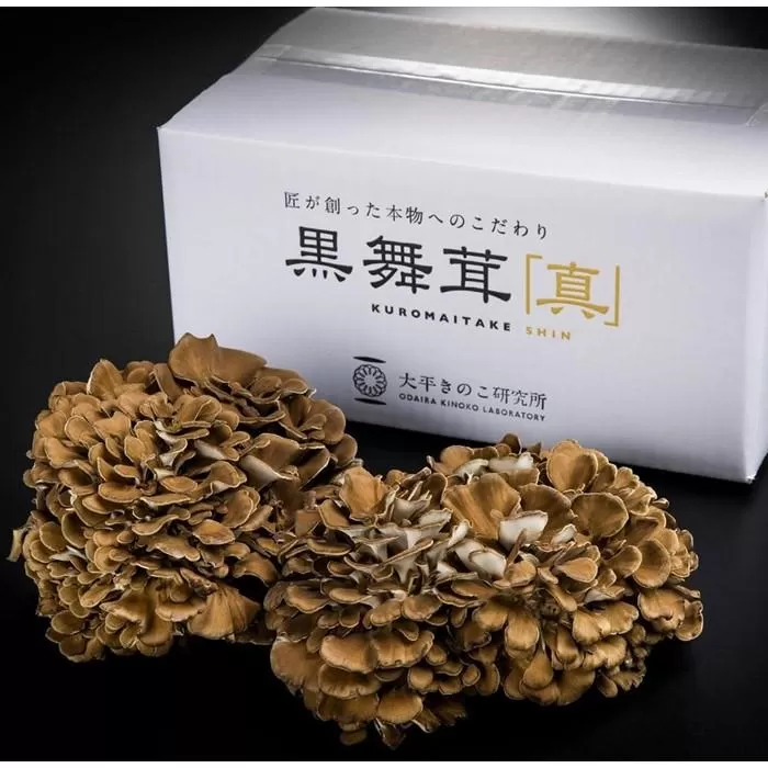 大平きのこ研究所の大黒舞茸「真」１ｋｇ