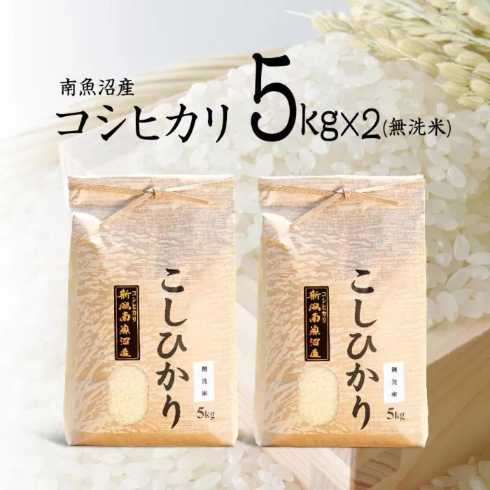 【令和7年産 新米予約】南魚沼産コシヒカリ（無洗米）【5kg×2】【令和7年10月中旬以降発送】【米 お米 こしひかり 南魚沼 米 無洗米 こめ 新潟 米】