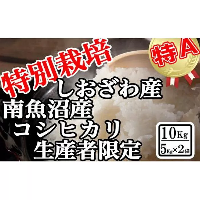 【令和7年産】特別栽培 生産者限定 南魚沼しおざわ産コシヒカリ10Kg【2025年10月上旬より順次発送予定】