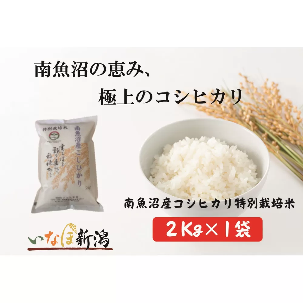 【令和7年産米】南魚沼産コシヒカリ特別栽培米 白米 2kg