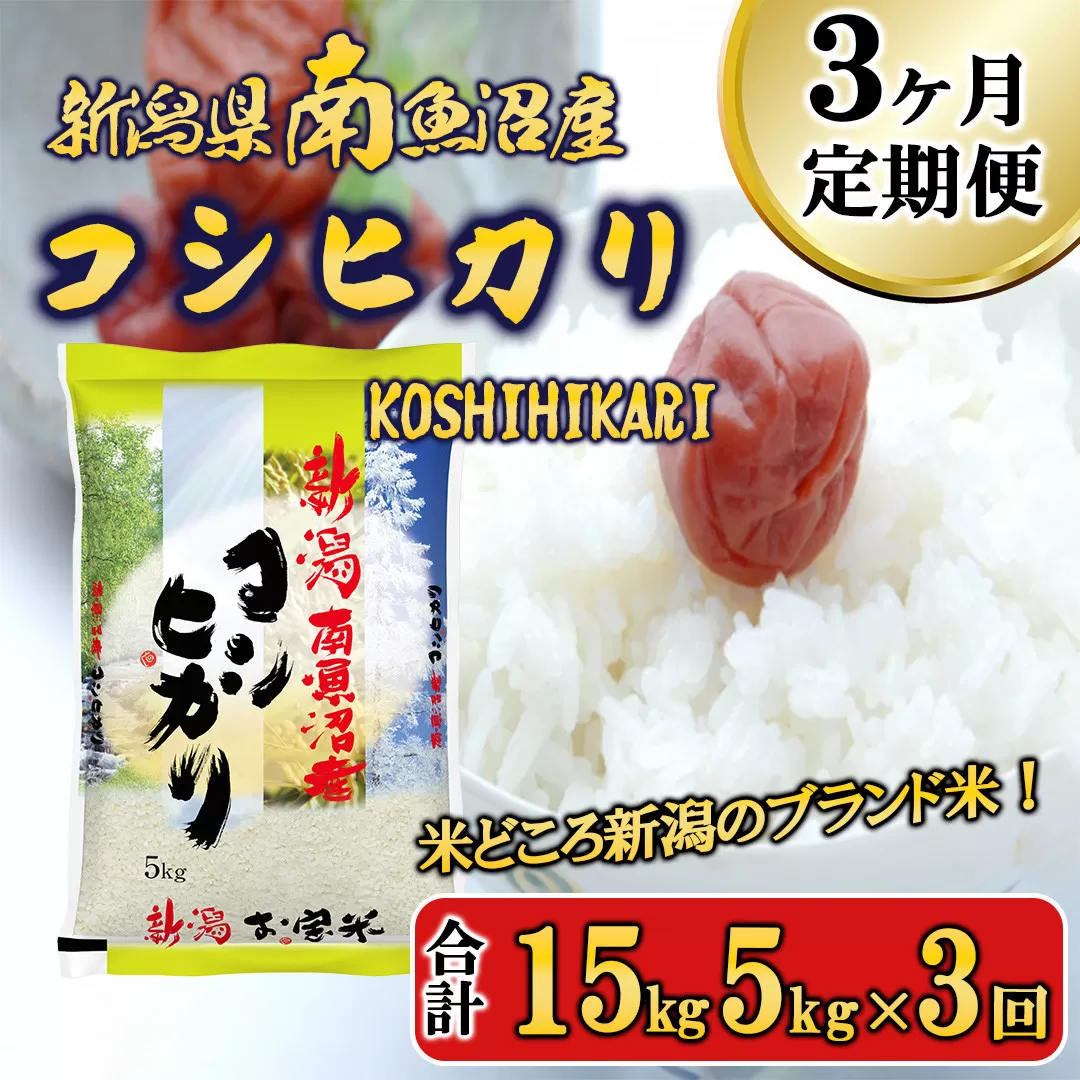 【令和7年産新米予約】【A-3定期便】南魚沼産コシヒカリ5kg×3回【2025年11月中旬より順次発送予定】