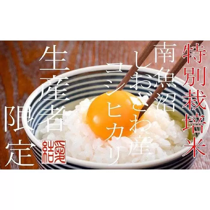 【令和7年産】【定期便2Kg×12ヶ月】【特別栽培米】 契約生産者限定  南魚沼しおざわ産コシヒカリ【2025年10月上旬より順次発送予定】