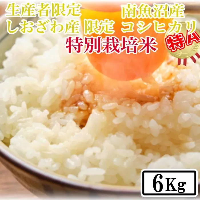【令和7年産】【精米6kg】特別栽培 しおざわ産限定 生産者限定 南魚沼産コシヒカリ【2025年10月上旬より順次発送予定】
