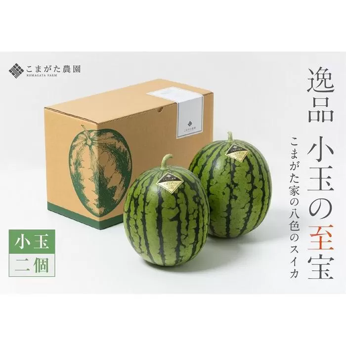 【2025年7月中旬発送予定】高級南魚沼八色産スイカ「こまがた家の八色のスイカ」小玉2個