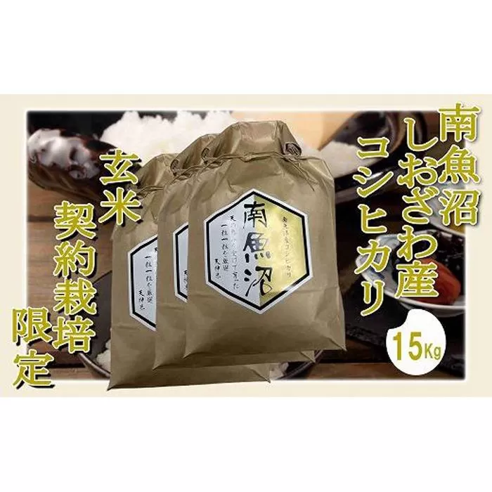 【令和7年産】【玄米１５Kg】●玄米● 生産者限定 南魚沼しおざわ産コシヒカリ【2025年10月上旬より順次発送予定】