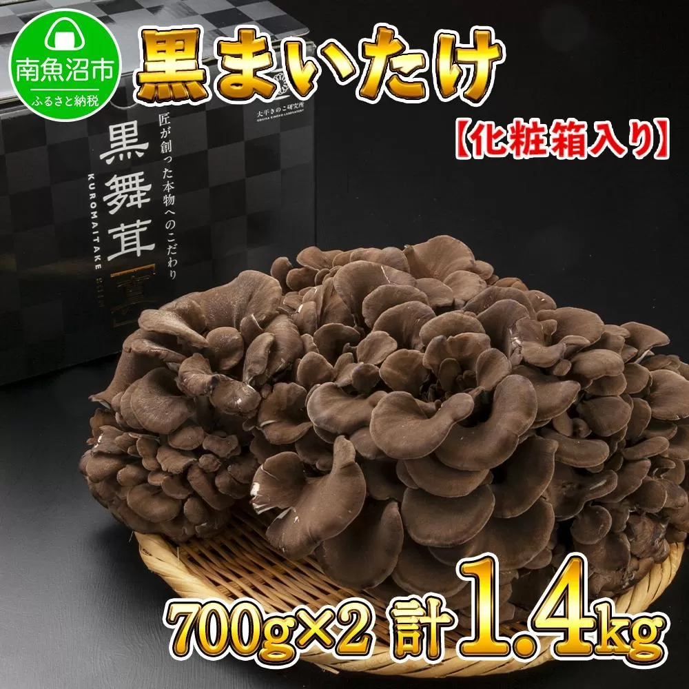 新潟県 南魚沼産 厳選 国産 黒 高級 舞茸 まいたけ 産地直送 700g ×2箱 計1.4kg
