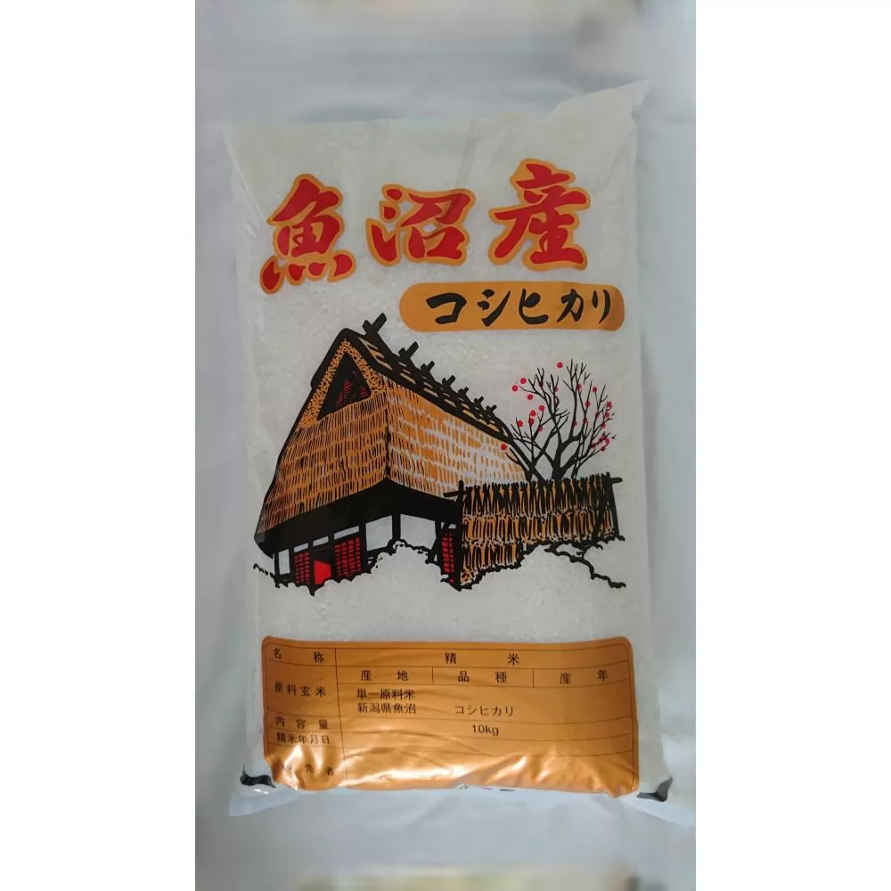 【令和7年新米】魚沼産しおざわコシヒカリ白米１０ｋｇ