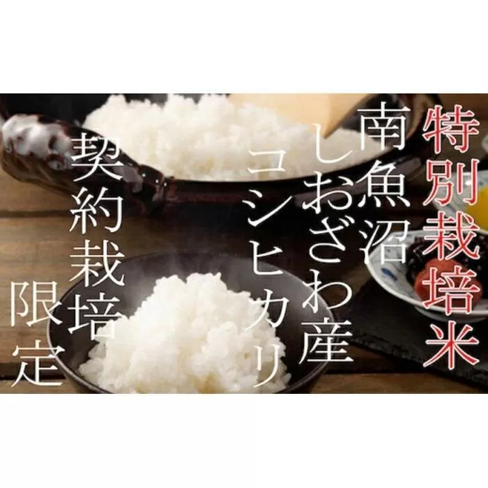 【令和7年産】【定期配送２Kg×12ヶ月】特別栽培 生産者限定  南魚沼しおざわ産コシヒカリ【2025年10月上旬より順次発送予定】