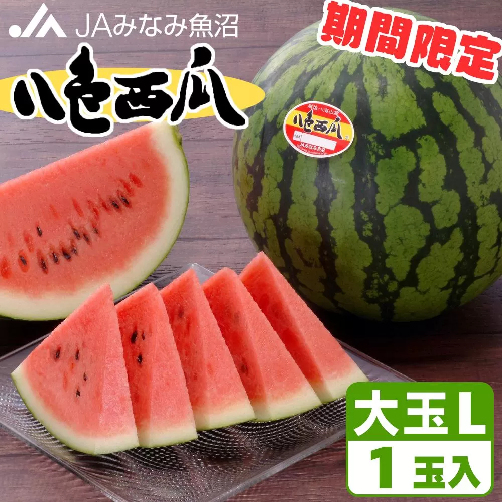【期間限定】八色西瓜（大玉 Lサイズ) ×1玉