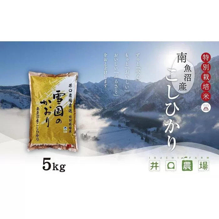 【令和7年産 新米】南魚沼産コシヒカリ 5kg  井口農場こだわりの 特別栽培米