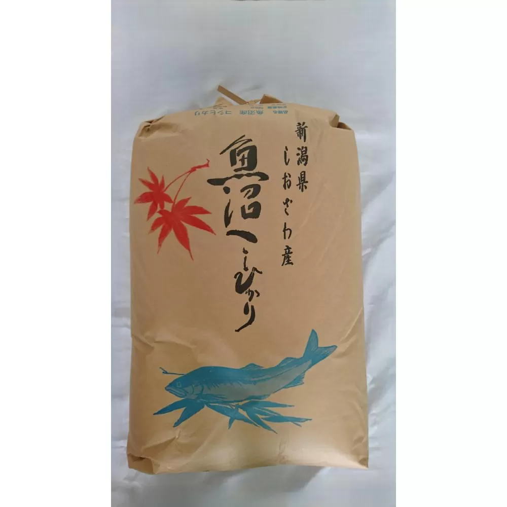 【令和7年新米】魚沼産しおざわコシヒカリ玄米３０kg