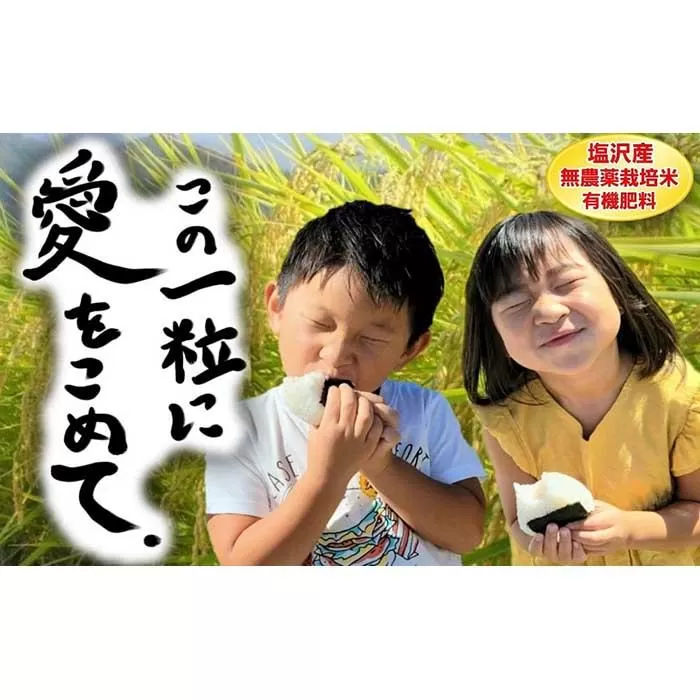 【令和7年産新米予約】この一粒に愛をこめて【四代目田中の最高傑作品】玄米10kg【2025年9月中旬より順次発送予定】
