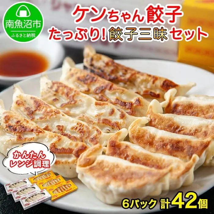 ES149 新潟県 南魚沼市 チルド手焼き餃子・ジャンボ餃子 食べ比べ セット 各3パック 計42個 ケンちゃん餃子 冷蔵 中華 点心 惣菜 ビール お取り寄せ グルメ