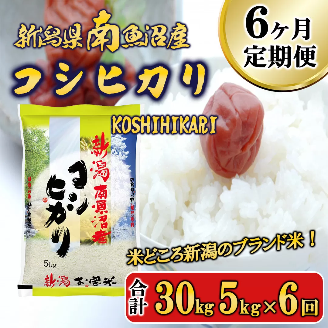 【令和7年産新米予約】【A-6定期便】南魚沼産コシヒカリ5kg×6回【2025年11月中旬より順次発送予定】