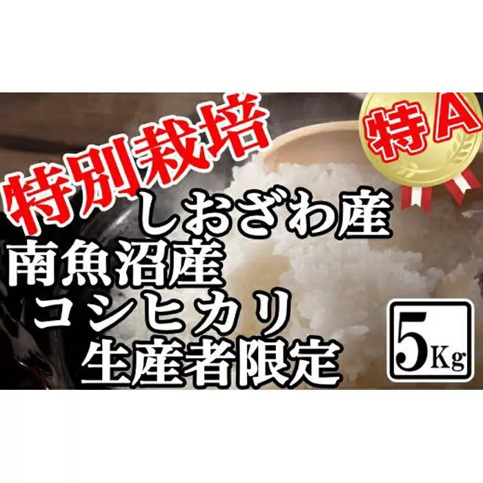 【令和7年産】特別栽培 生産者限定 南魚沼しおざわ産コシヒカリ5Kg【2025年10月上旬より順次発送予定】