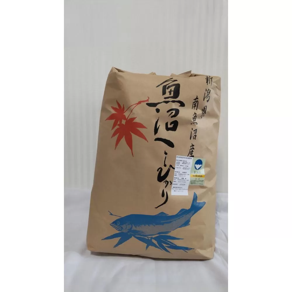 【令和7年新米】新潟県認証特別栽培米魚沼産しおざわコシヒカリ玄米20kg