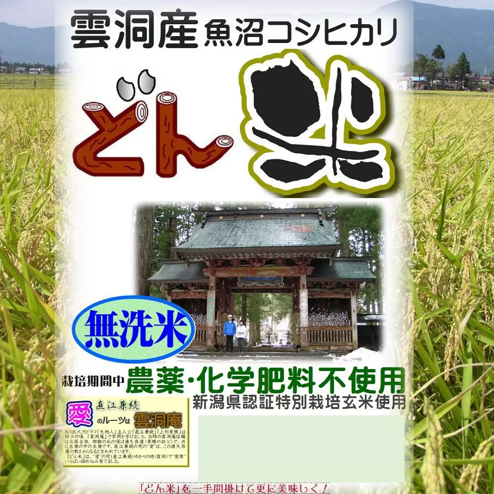 【頒布会】南魚沼産「どん米」無洗米真空パック4.8kg×５ヶ月　ちょっと！うるさいよ！炊き方