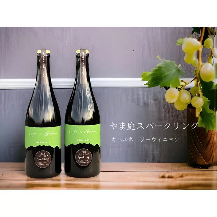 カベルネ・ソービニヨンの辛口スパークリングワイン 2本セット