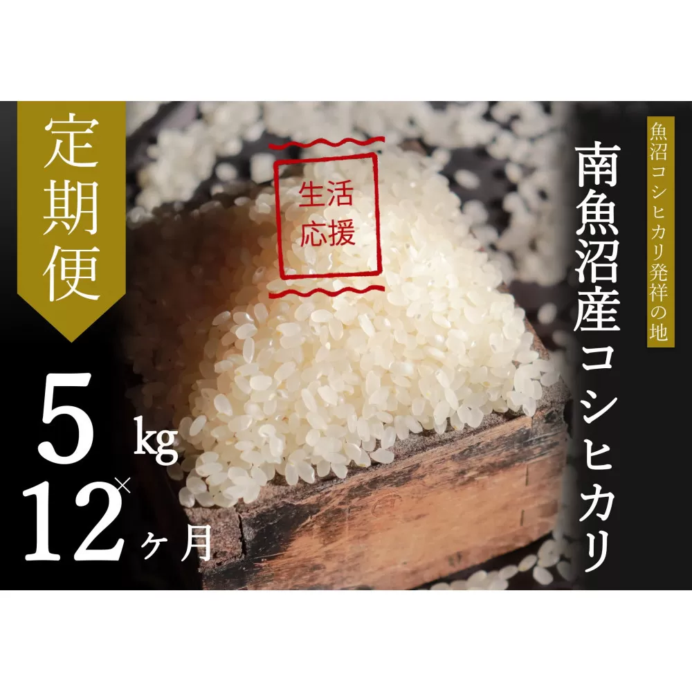 【令和7年産】【定期便・中旬お届け】5kg×12ヶ月　南魚沼産コシヒカリ生活応援