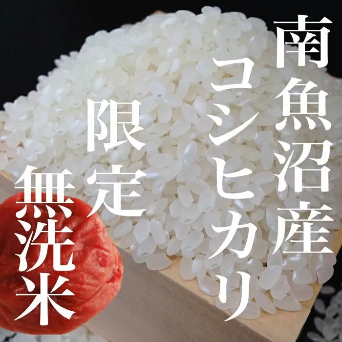 【令和7年産】【定期便】《無洗米》南魚沼産コシヒカリ6Kg×全3回【2025年10月上旬より順次発送予定】